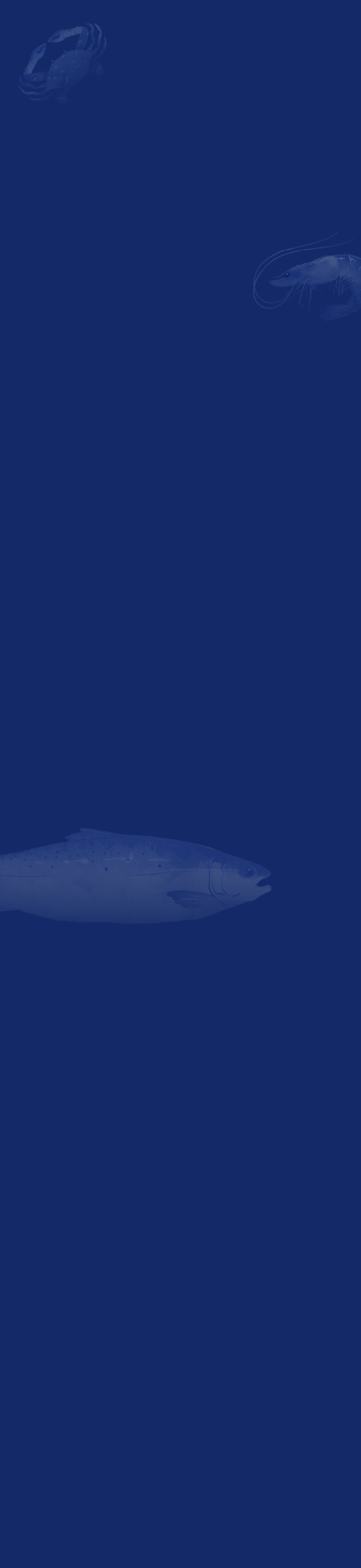background footer