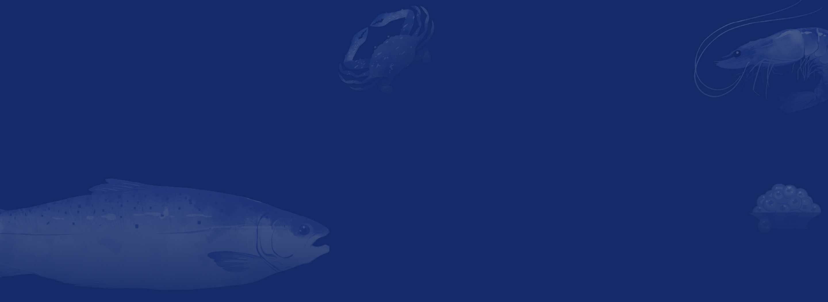 background footer