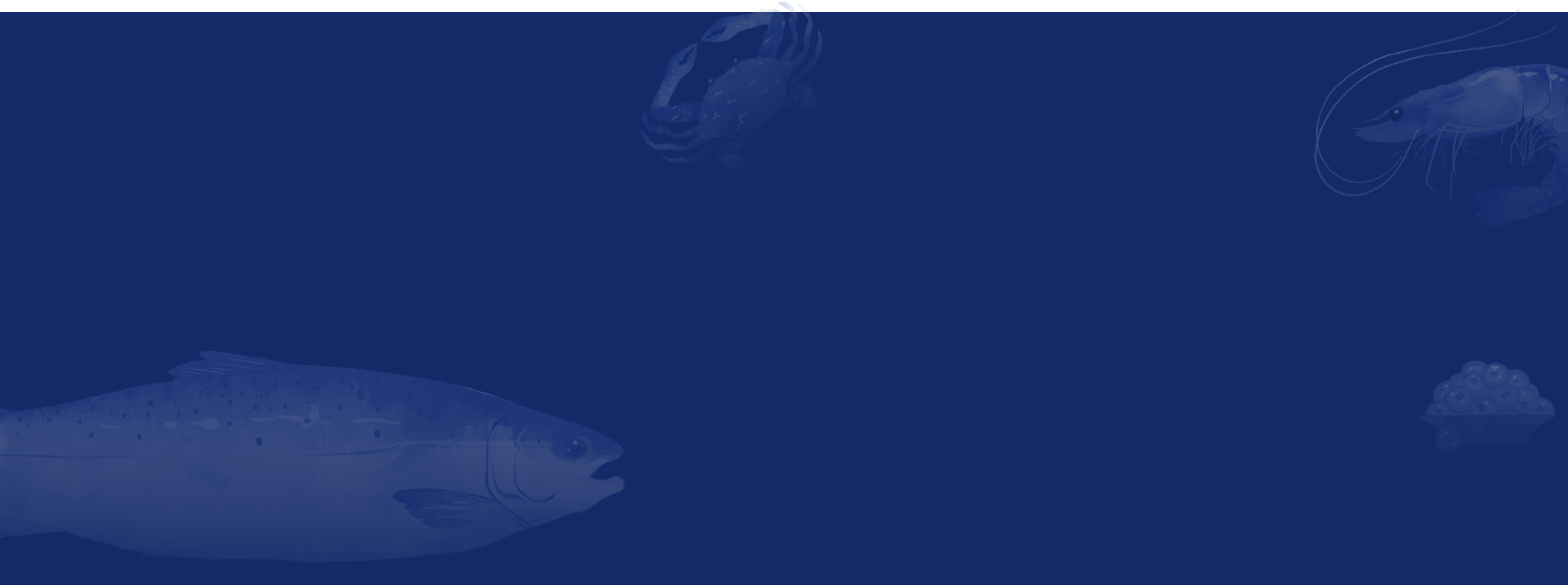 background footer