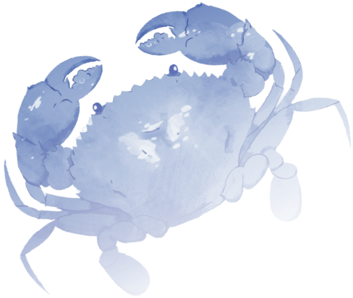 image crab