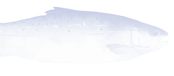 image fish